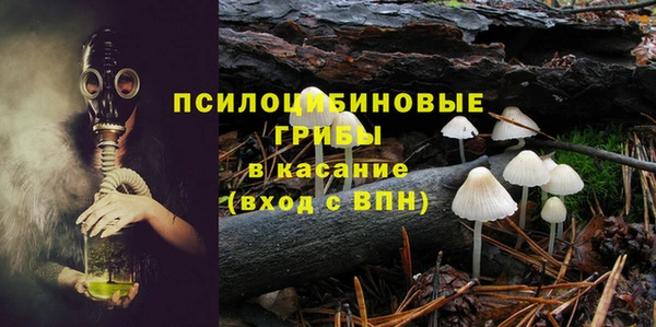 ECSTASY Алексин